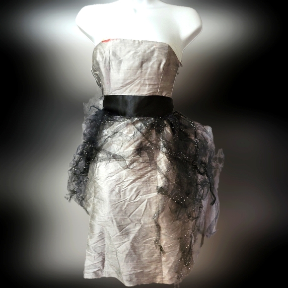 🎃GirlsZombie undead prom Black & Grey satin ragged strapless  Halloween Costume - Picture 1 of 12